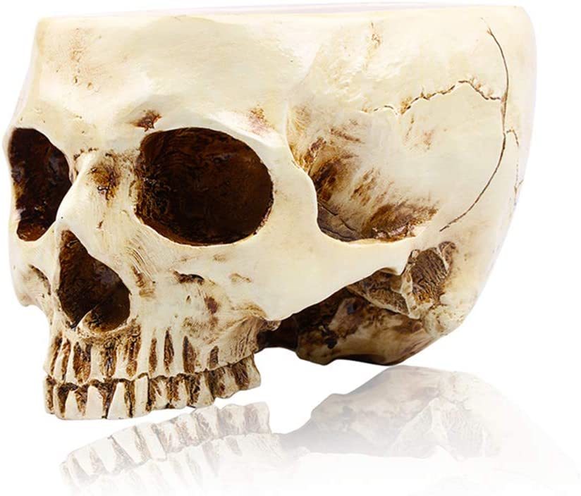 Rmm Halloween Decor Retro Human Skull Head Flower Pot Planter Bed Box Co... - $29.93