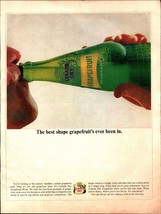 1964 Canada Dry Soda Pop Vintage Print Ad Grapefruit Beverage Drink Bottle Sip - £21.70 GBP