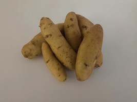 Austrian Crescent - 2 lbs pounds - Certified Whole Seed Potatoes for Spring - $803.14 MXN