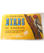 The Yellow Book of BIRDS OF AMERICA 1931, ‘41 Ashbrook Moller Whitman Pu... - $11.89