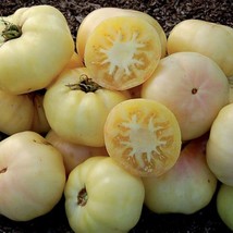 Snow Berry Cherry Tomato 12 Seeds *Heirloom* Seeds Domestic  - £6.17 GBP