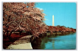 Washington Monument Through Cherry Blossoms Washington DC UNP Chrome Postcard Z4 - £1.56 GBP