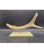 Hand Carved Folk Art Deer Antler Buck Shark Fish Eel Made In West Virginia - £41.55 GBP