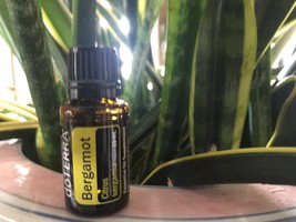 doTERRA Bergamot 15 mL Essential Oil  NEW &amp; SEALED Exp 12/26 - $18.00