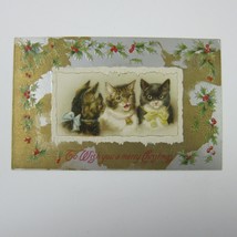Christmas Postcard Kitty Cats Kittens Holly Berries Gold Silver Embossed Antique - £11.77 GBP