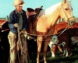 Vtg Chrome Postcard - A True Cowboy With Horse &amp; Cows - Plastichrome - £5.52 GBP