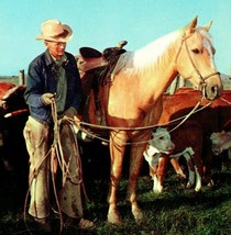 Vtg Chrome Postcard - A True Cowboy With Horse &amp; Cows - Plastichrome - £5.51 GBP