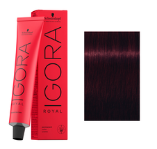 Schwarzkopf IGORA ROYAL Hair Color - 4-99 Medium Brown Violet Extra