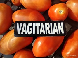 Small Hand made Decal sticker VAGITARIAN - $5.86