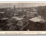 Birds Eye View Section Near Black River Dexter New York NY 1911 DB Postc... - $10.84