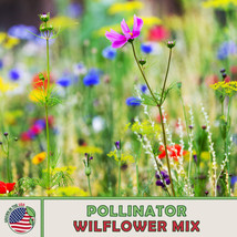 US Seller Pollinator Wildflower Mix, Butterfly &amp; Bee Attractor, Non Gmo - £8.11 GBP