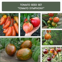 Vibrant Tomato Symphony Seeds Set - Rare Heirloom Varieties, Grow Your Own Salsa - £14.12 GBP