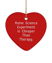 Home Science Experiment is Cheaper Than Therapy. Heart Ornament, Home Science Ex - £13.13 GBP