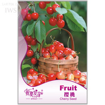 PWO Fresh Super Sweet Bonsai Cherry Fruits Seeds, Original Pack, 5 Seeds, Nutrit - $1.72