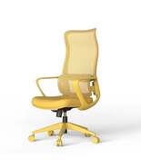 Ergonomic Mesh Office Chair With Lumbar Support And Breathable Back - $224.99