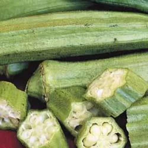 Fresh Seeds Okra Clemson Spineless Vegetable 100 Seeds - £9.10 GBP
