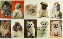 Vintage Lot Hallmark Postcards DOGS PUG COCKER SPANIEL BASSET HOUND POODLE - £10.93 GBP