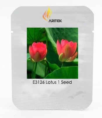 SL Heirloom Middle Red Nelumbo Nucifera Lotus Flower Seeds, Professional... - $0.80