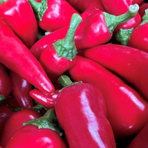 New Fresno Pepper Seeds Hot Organic Fresh USA Garden - $6.50