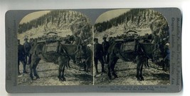 How Italian Guns Were Carried Up Steep Paths Alpine Front Keystone Stereoview  - £13.91 GBP