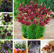 8af8ac999c3012f3 thumb200