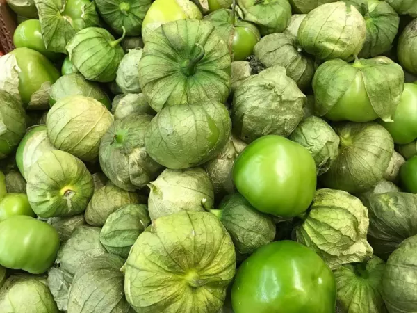 100 Rio Grande Verde Tomatillo Seeds To Grow Usa Seller - $16.18