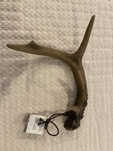 Rustic ANTLER Christmas Ornament, 7&quot; Tall, by Sullivans - $6.99