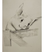 Charlotte Young Pig Sketch 10.5&quot; X 13.5&quot; With Certificate Of Authenticity - $40.74 CAD