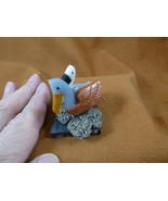 (Y-BIR-PE-401) pair of Pelicans tan + blue + white love bird gemstone ST... - $335.40 MXN