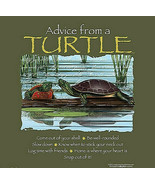 Turtle T-shirt S 2XL Advice Unisex NWT Tortoise Forest Cotton Green - £15.96 GBP