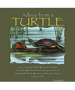Turtle T-shirt S 2XL Advice Unisex NWT Tortoise Forest Cotton Green - $20.20