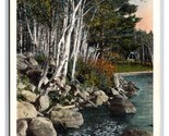 Algonquin Shore Saranac Lake New York UNP WB Postcard M19 - $3.91