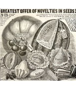 Child Bros Novelty Garden Seeds 1885 Advertisement Victorian Agriculture... - $34.45 CAD