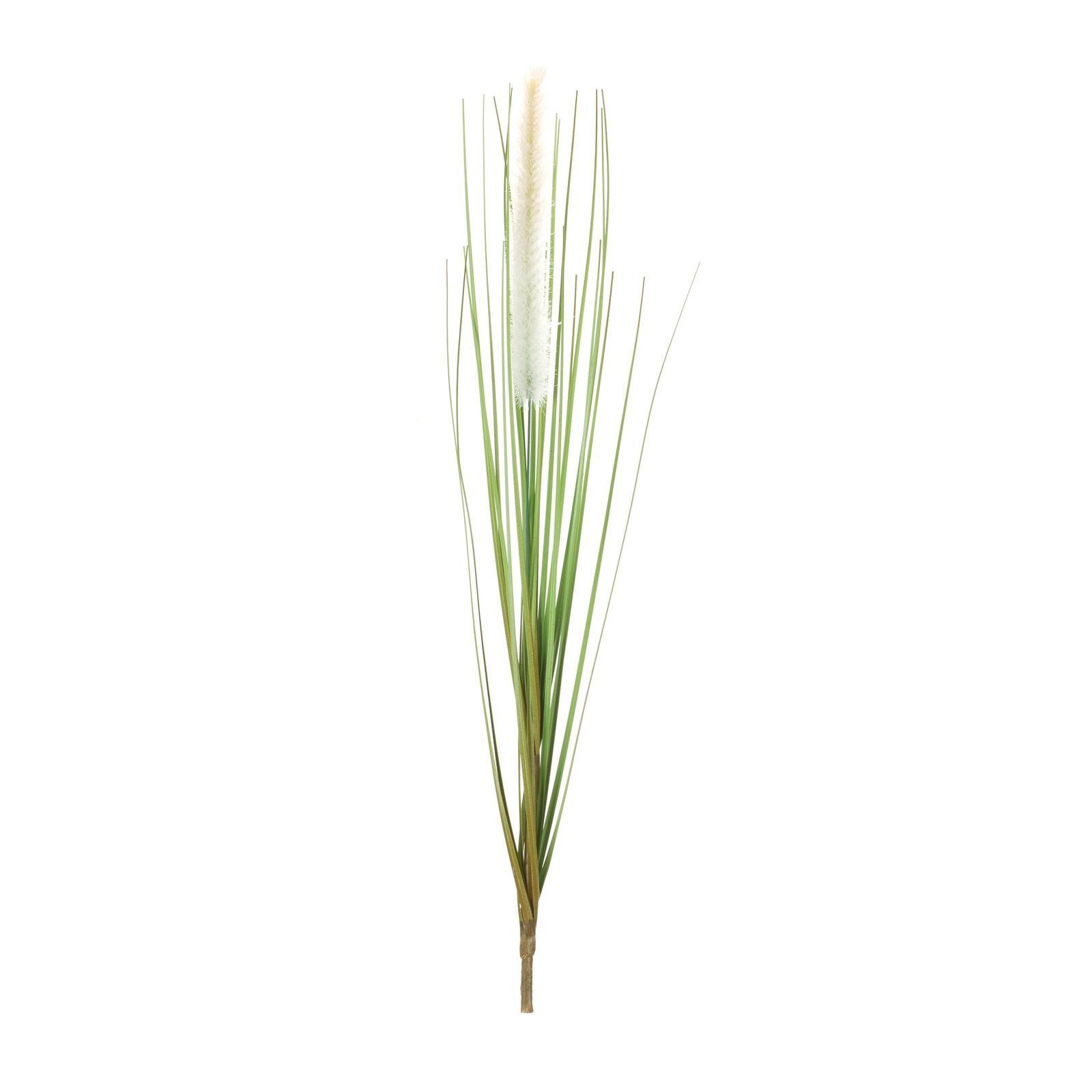 Foxtail Bush (Set of 12) - $51.66