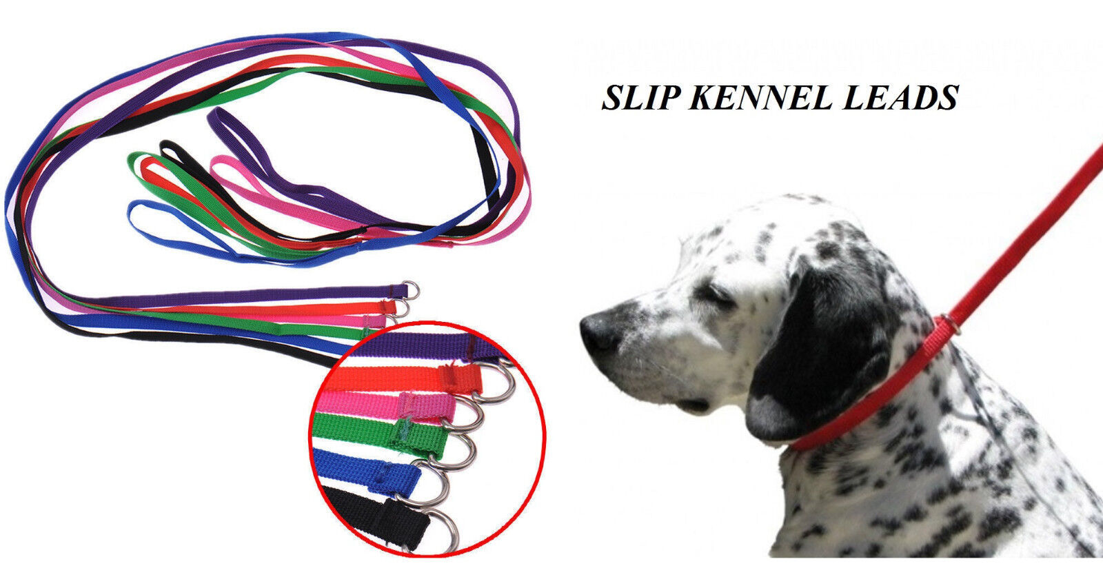 6pc DOG Quick Fit ANIMAL CONTROL SLIP NYLON LEAD LEASH Grooming Kennel T... - $11.99
