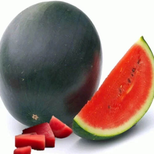 Sugar Baby Watermelon 25 Seeds - $8.34