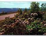 Mountain Laurel State Flowers High Knob Pennsylvania PA UNP Chrome Postc... - $3.91