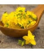 St. John&#39;s Wort Tincture - $644.37 MXN