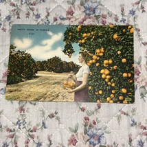 Postcard - Pretty Pickin&#39; in Florida Girl Orange Groves 1940s Linen Vint... - £6.15 GBP