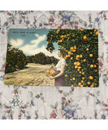 Postcard - Pretty Pickin&#39; in Florida Girl Orange Groves 1940s Linen Vint... - $7.95