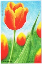 Postcard Flowers Prince Of Austria Tulip Royal Lepage Ad Card - $3.95