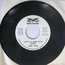 Terry Tigre - Feeling Slips Away / Poor Man&#39;s Luxury Vinyl 7&quot; 45 Radio P... - £10.96 GBP