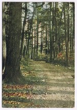 Postcard Hanover Park Kane Pennsylvania - £3.88 GBP