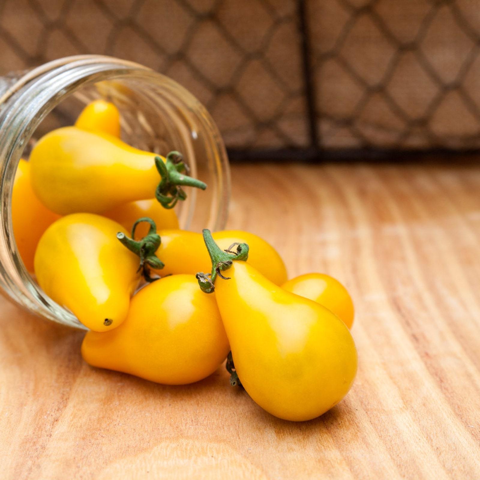 Yellow Pear Tomato Fast Ship Fresh USA SELLER - $15.10