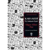Kara Kedi; Üc Tekinsiz [Paperback] Edgar Allan Poe - £12.01 GBP