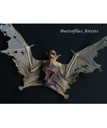 Wolf Faced Zombie Vampire Real Bat Eonycteris Spelaea Framed Taxidermy S... - $258.07 CAD