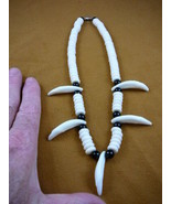 W-30-15) 1-5/8&quot; COYOTE wild dog 5 Tooth wht blk aceh bovine bone NECKLACE - $57.02