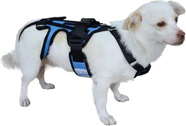 Dog Back Brace For Dogs, Hip Brace Support For Pet, Back Brace For Dogs With Ivd - $54.99