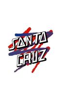 Santa Cruz Skateboards 12x8in Inches Aluminum Metal Sign Collage Thrashe... - $24.74