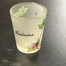 Barbados Mojito Recipe Shot Glass Rum Flower - $9.89